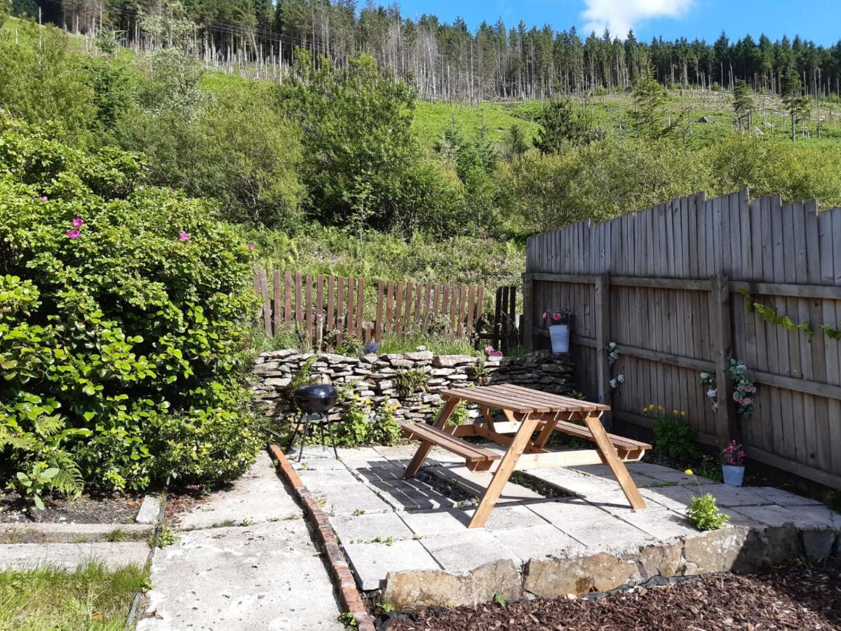 Afan Valley Home - Contractor Accommodation Port Talbot Ngoại thất bức ảnh